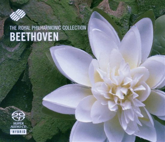 Violin Sonatas Nos. 5 and 9 (O'hora, Carney) - Ludwig Van Beethoven - Music - Rpo - 4011222228116 - November 7, 2005