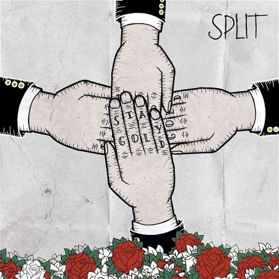 Cover for Split · Stay Gold (CD)