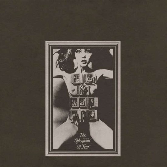 Cover for Felt · The Splendour Of Fear (LP) [Deluxe Remastered Gatefold Sleeve Vinyl edition] (2022)