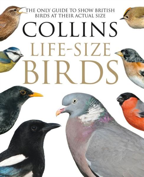 Collins Life-Size Birds: The Only Guide to Show British Birds at Their Actual Size - Paul Sterry - Boeken - HarperCollins Publishers - 9780008181116 - 22 september 2016