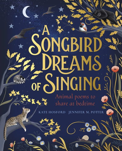 Cover for Kate Hosford · A Songbird Dreams of Singing (Hardcover Book) (2019)