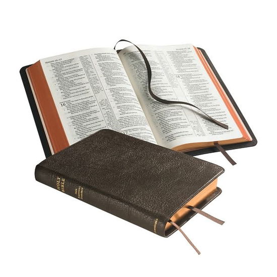 Cover for Baker Publishing Group · NASB Pitt Minion Reference Bible, Brown Goatskin Leather, Red-letter Text, NS446XR Brown Goatskin Leather (Leather Book) [Brown Moroccan] (2010)