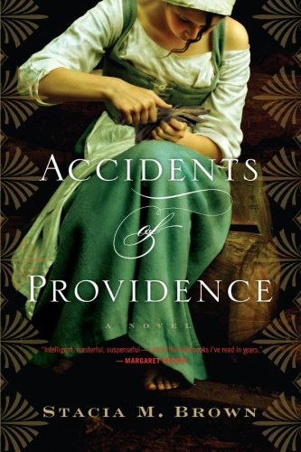 Cover for Stacia Brown · Accidents of Providence (Taschenbuch) [Reprint edition] (2013)