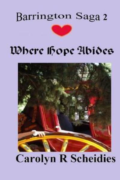 Cover for Carolyn R Scheidies · Where Hope Abides (Paperback Book) (2015)