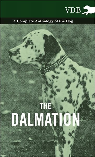 Cover for The Dalmatian - a Complete Anthology of the Dog - (Innbunden bok) (2010)