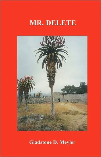 Cover for Gladstone D Meyler · Mr. Delete (Paperback Bog) (2010)