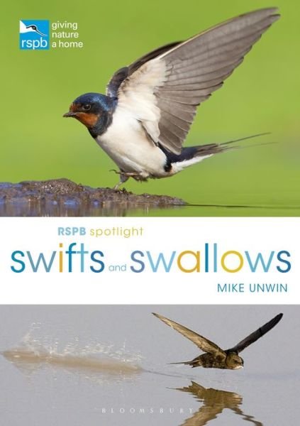 Cover for Mike Unwin · RSPB Spotlight Swifts and Swallows - RSPB (Paperback Book) (2018)