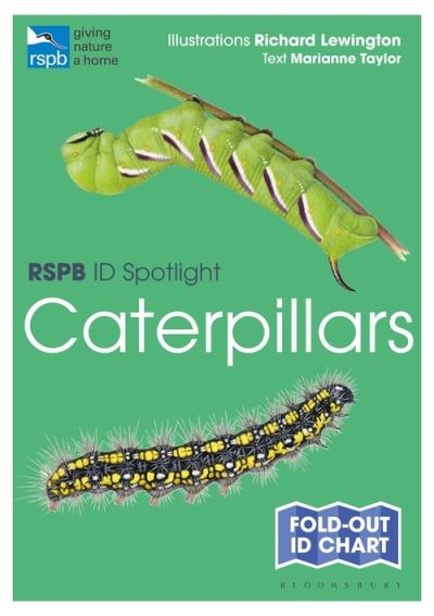 Cover for Marianne Taylor · RSPB ID Spotlight - Caterpillars - RSPB (Map) (2021)