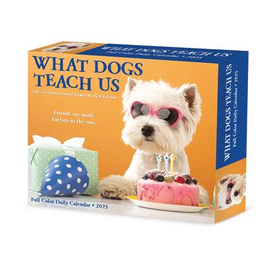 Willow Creek Press · What Dogs Teach Us 2025 6.2 X 5.4 Box Calendar (Calendar) (2024)