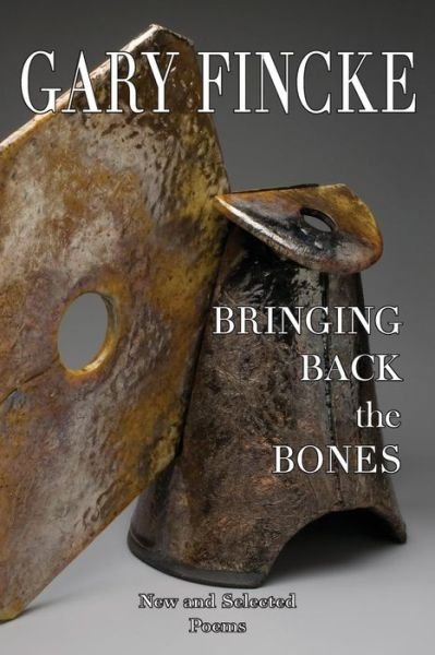 Cover for Gary Fincke · Bringing Back the Bones (Paperback Book) (2016)