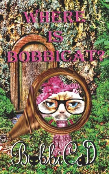 Cover for Bobbicat · Where is Bobbicat (Inbunden Bok) (2014)