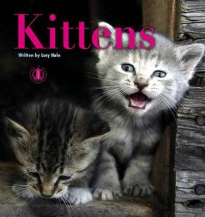 Cover for Lucy Hale · Kittens - The Literacy Tower (Paperback Book) (2015)