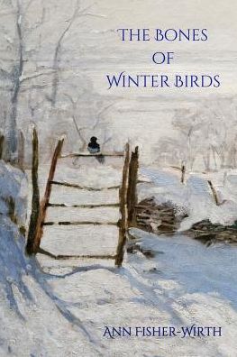 Cover for Ann Fisher-Wirth · The Bones of Winter Birds - Terrapin Poetry (Paperback Book) (2019)