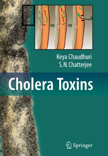 Cover for Keya Chaudhuri · Cholera Toxins (Pocketbok) [Softcover reprint of hardcover 1st ed. 2009 edition] (2010)