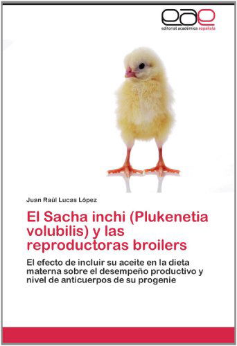 Cover for Juan Raúl Lucas López · El Sacha Inchi (Plukenetia Volubilis) Y Las Reproductoras Broilers: El Efecto De Incluir Su Aceite en La Dieta Materna Sobre El Desempeño Productivo Y ... Anticuerpos De Su Progenie (Paperback Book) [Spanish edition] (2012)