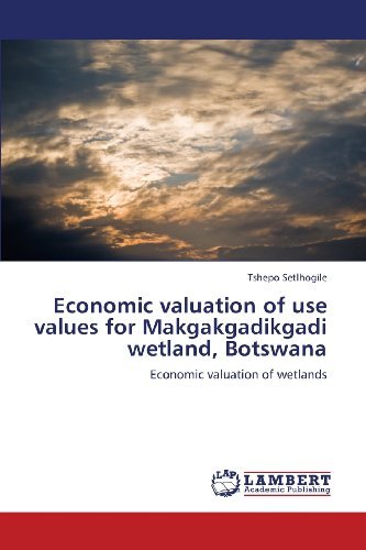 Cover for Tshepo Setlhogile · Economic Valuation of Use Values for Makgakgadikgadi Wetland, Botswana: Economic Valuation of Wetlands (Paperback Bog) (2013)