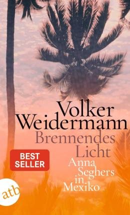 Cover for Volker Weidermann · Brennendes Licht (Paperback Book) (2022)