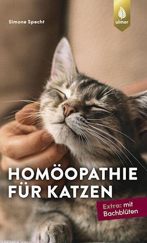 Cover for Simone Specht · Homöopathie für Katzen (Pocketbok) (2022)