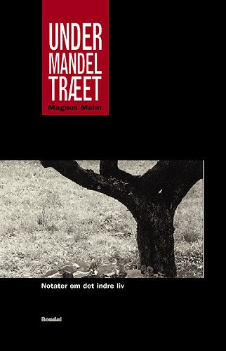 Cover for Magnus Malm · Under mandeltræet (Bok) [1. utgave] (2003)