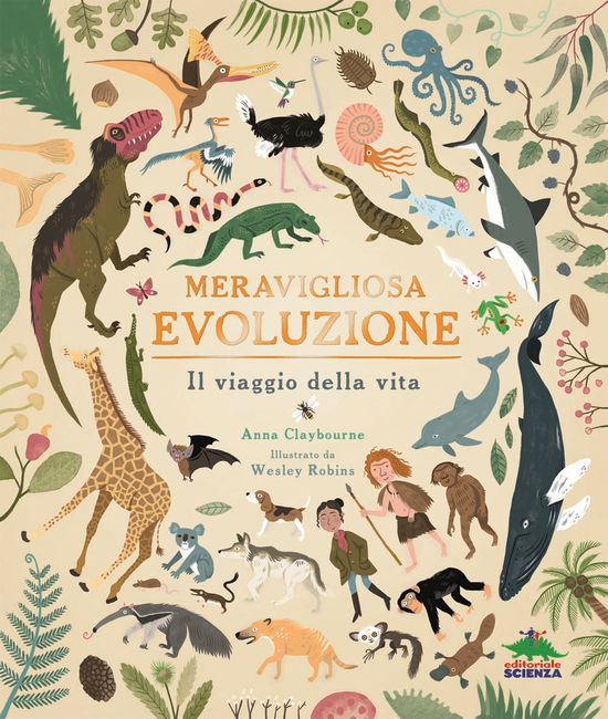 Cover for Anna Claybourne · Meravigliosa Evoluzione. Il Viaggio Della Vita (Book)