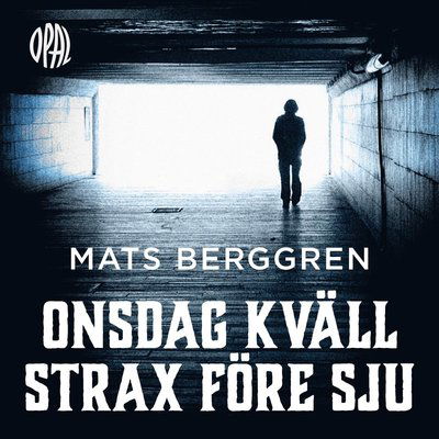 Cover for Mats Berggren · Onsdag kväll strax före sju (Audiobook (MP3)) (2020)