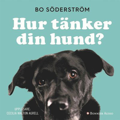 Cover for Bo Söderström · Hur tänker din hund? (Audiobook (MP3)) (2017)