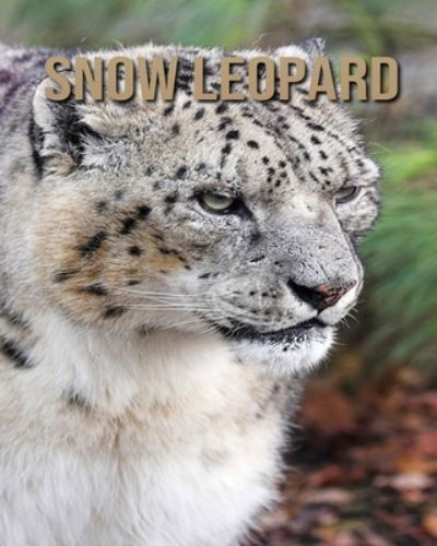 Cover for Dan Anthony · Snow Leopard (Paperback Book) (2020)