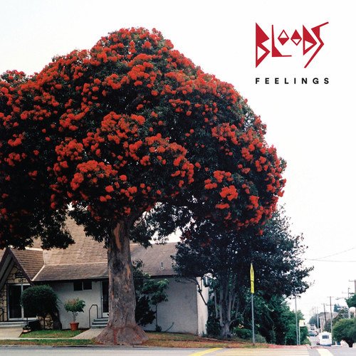 Cover for Bloods · Feelings (LP) (2018)