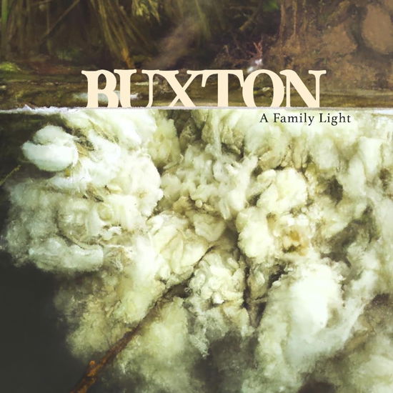 Cover for Buxton · A Family Light (CD) (2023)