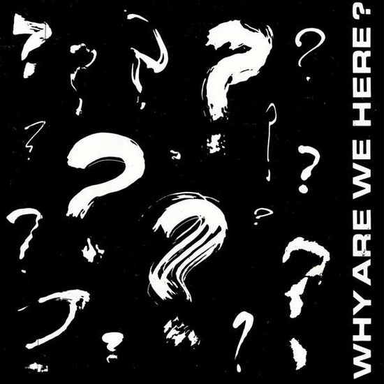 Why Are We Here? - 7" (INDIE EXCLUSIVE) - RSD 2018 Various Artists - Muzyka - Schoolkids Records - 0634457860117 - 21 kwietnia 2018