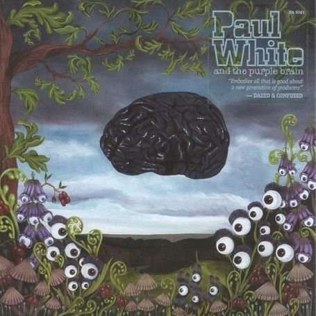 And The Purple Rain * Plus Bonus 12" - Paul White  - Musik - Now Again - 0659457506117 - 
