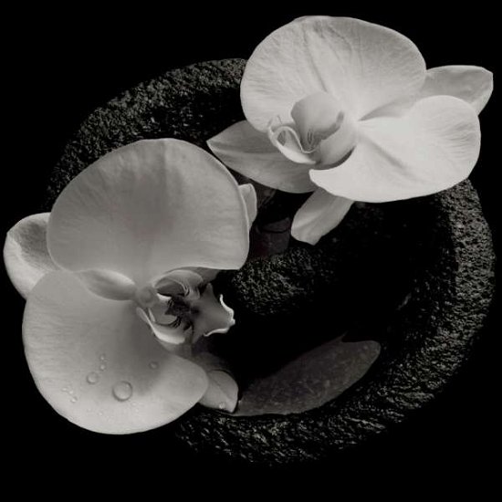 Mike Patton & Jean-claude Vannier · Corpse Flower (LP) [Ltd. edition] (2019)