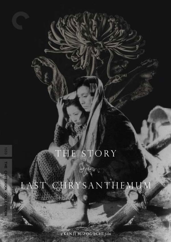 Story of Last Chysanthemum / DVD - Criterion Collection - Movies - CRITERION COLLECTION - 0715515186117 - September 13, 2016