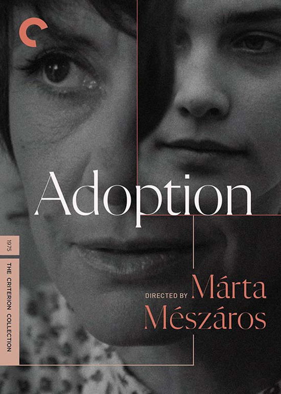 Cover for Criterion Collection · Adoption DVD (DVD) (2022)