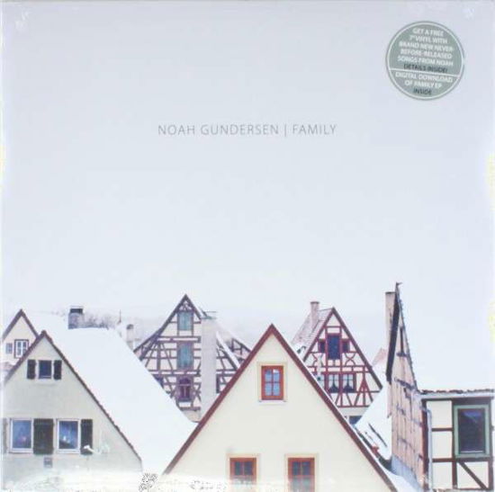 Family - Noah Gundersen - Musikk - POP - 0803020170117 - 16. mars 2020