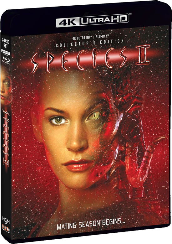 Species II - 4k Ultra Hd - Películas - HORROR; SCI-FI - 0826663246117 - 11 de junio de 2024