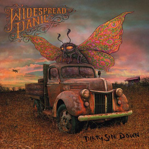 Cover for Widespread Panic · Dirty Side Down (LP) [180 gram edition] (2010)