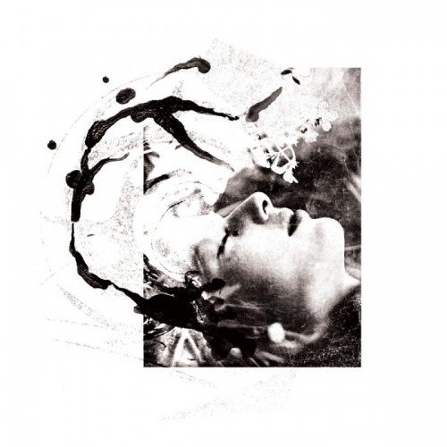 Cover for Tenhi · Airut: Aamujen (LP) (2024)