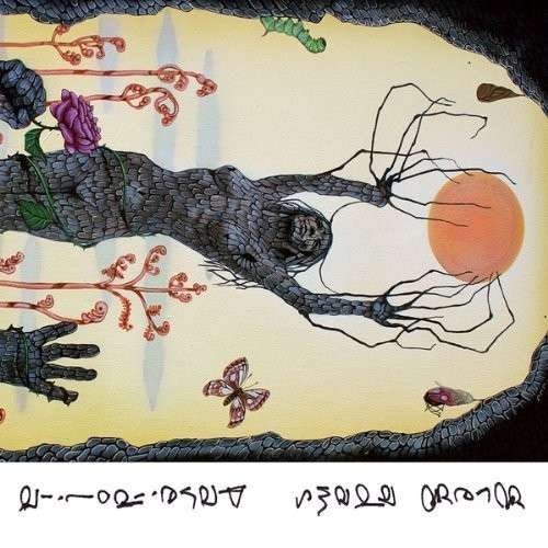 Cover for Greg Adams · Pareidolia (CD) (2013)