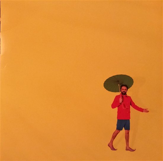 Cover for Brun Mands Byrde (LP) (2015)