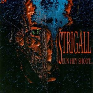 Cover for Strigall · Seun Hey Shoot (CD) (2021)