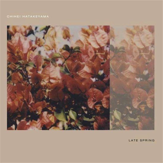 Cover for Chihei Hatakeyama · Late Spring (LP) [Japan Import edition] (2021)