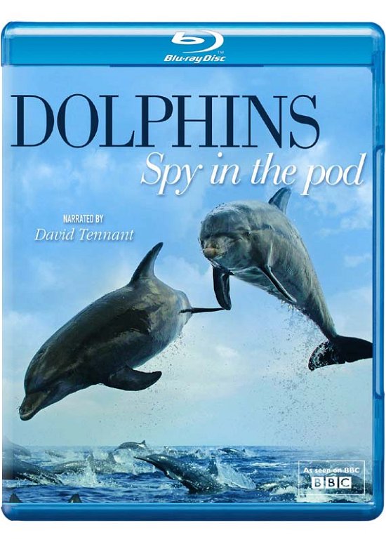Cover for Dolphins - Spy In The Pod (Blu-ray) (2014)