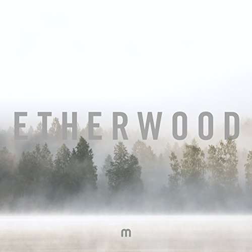 Cover for Etherwood · In Stillness (CD) (2018)