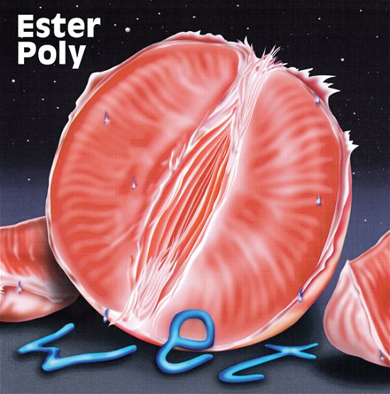 Cover for Ester Poly · Wet (LP) (2021)