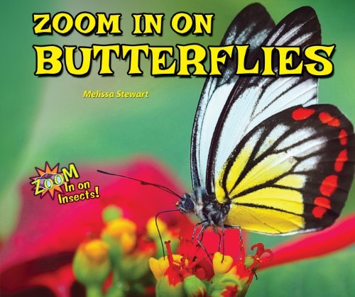 Cover for Melissa Stewart · Zoom in on Butterflies (Zoom in on Insects!) (Hardcover Book) (2014)