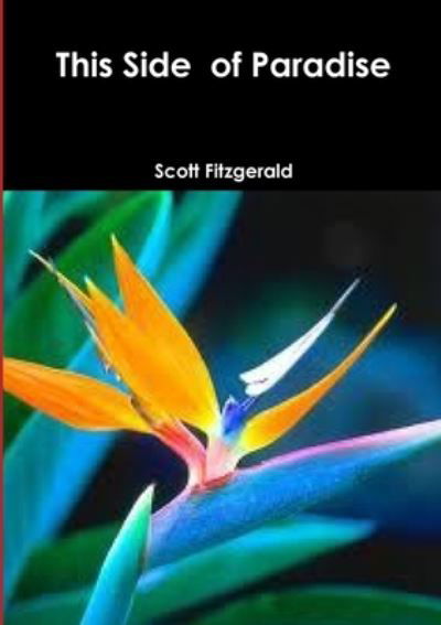 Cover for F. Scott Fitzgerald · This Side of Paradise (Bog) (2013)