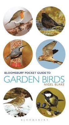 Cover for Nigel Blake · Pocket Guide To Garden Birds - Pocket Guides (Paperback Book) (2018)