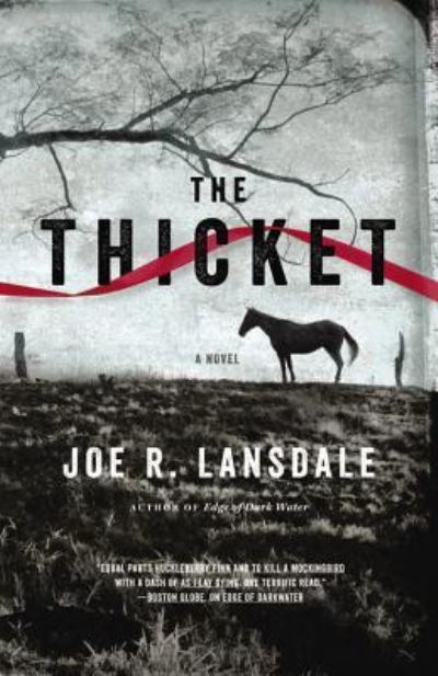 Cover for Joe R Lansdale · The Thicket (CD) (2013)