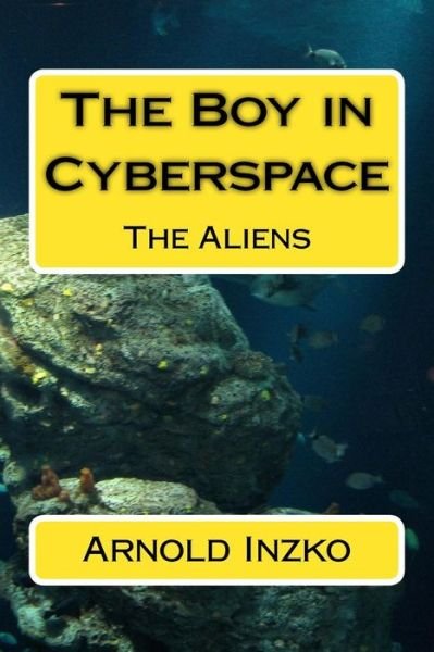 Cover for Arnold Inzko · The Boy in Cyberspace (Pocketbok) (2016)